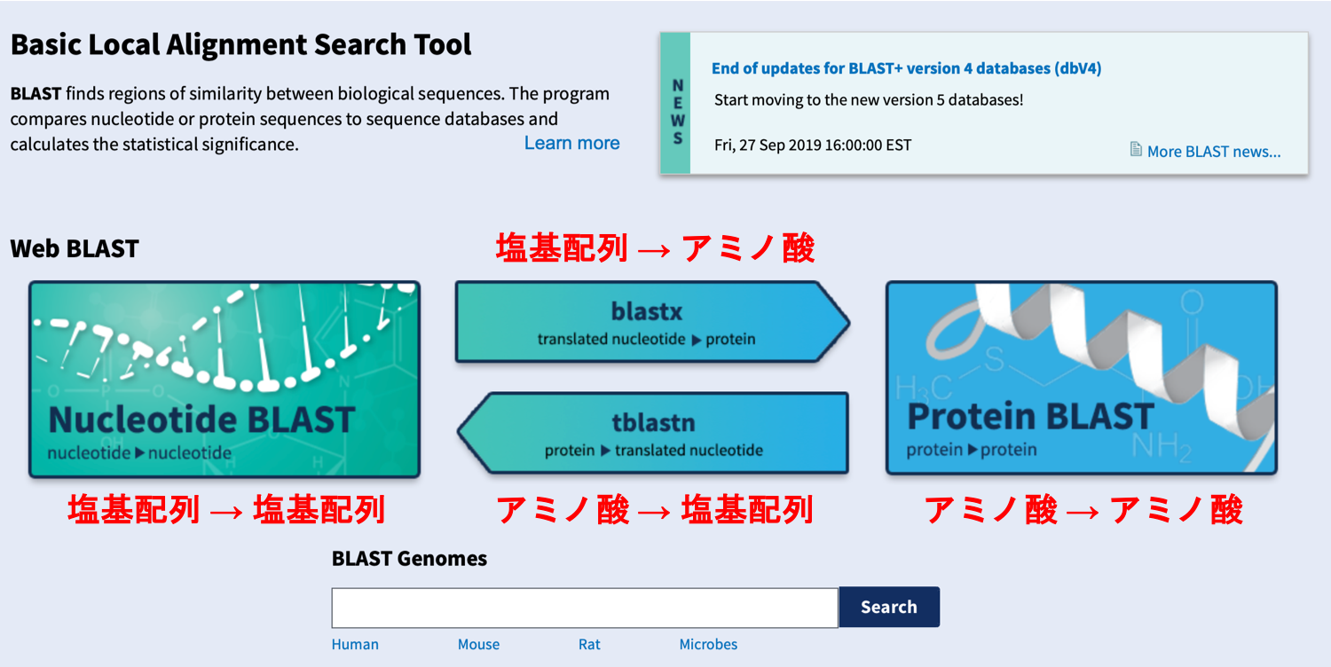 BLASTの使い方 - BLASTの選択