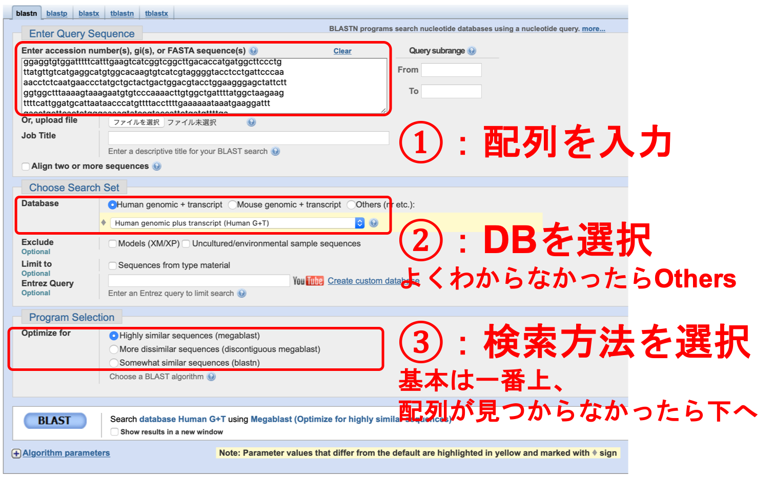 BLASTの使い方 - オプション選択