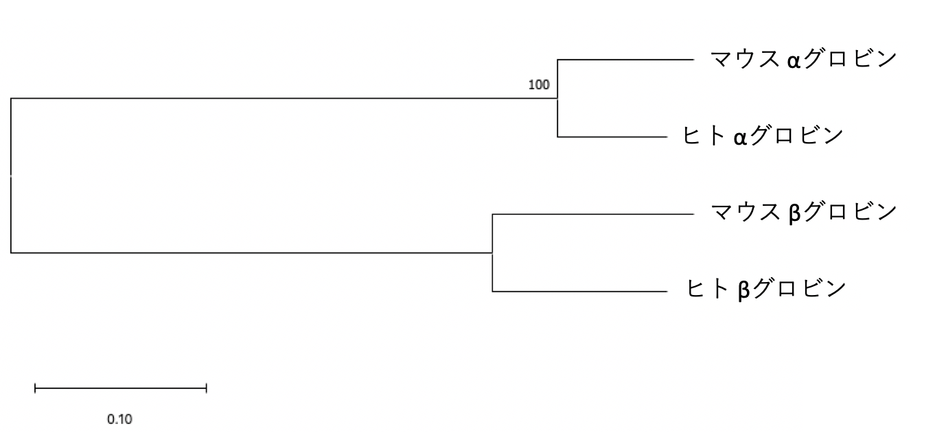 ホモログ、パラログ、オーソログの例