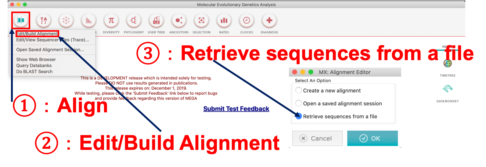 系統樹の書き方（MEGAXにfastaファイルを取り込む）