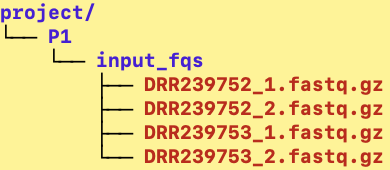 Qiime2 チュートリアル（フォルダ構成）